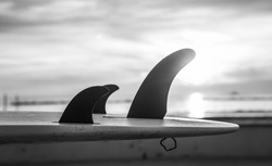 Details of surfboard fins by the sea at sunset. Black and white effect