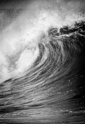 Breaking Ocean wave in black and white on the north shore of Oahu at Waimea bay Hawaii