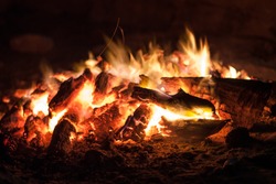 the coals of a campfire in the forest closeup