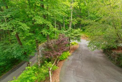 A windy driveway in the southern Appalachian Mountains also know as Little Switzerland, in the southwest corner of North Carolina.