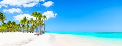 Panorama of Coconut Palm trees on white sandy beach in Punta Cana, Dominican Republic. Vacation holidays summer background. View of nice tropical beach.