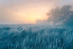Beautiful autumn sunrise over cold foggy meadow. Textured grass foreground with hoar frost. October dawn.