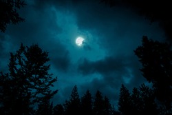 Night mysterious landscape in cold tones - silhouettes of forest trees under the full moon through the clouds on dramatic night sky.