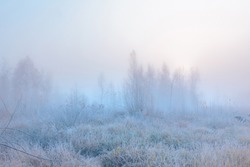 Beautiful autumn misty sunrise landscape. November foggy morning and hoary frost at scenic high grass meadow.