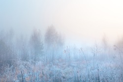 Beautiful autumn misty sunrise landscape. November foggy morning and hoary frost at scenic high grass meadow.