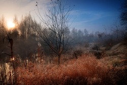 Gorgeous foggy autumn dawn near a small forest lake. Dreamy scenery with the sun, rising over the autumn forest.