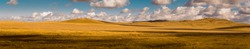 Wide panorama of beautiful autumn field. Majestic open space under dramatic clouds. Kazakh steppe.