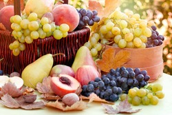 
    Autumn fruit, autumn organic fruits on table - autumn harvest 