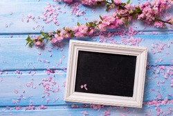 Background  with  sakura pink flowers  and empty blackboard on blue wooden planks. Selective focus. Place for text. 