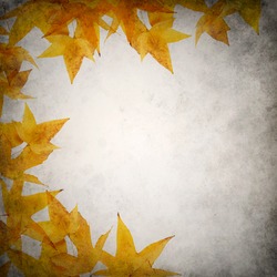 Grunge background template with yellow orange autumn leaves 
