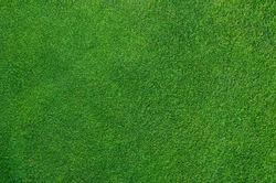 Photo of a dense golf green top view