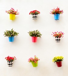 Artificial colorful flowers pots hang onto the wall