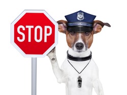 police dog with a street stop sign