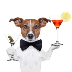 dog holding cocktails and a black tie