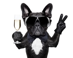 french bulldog with a  champagne glass and victory or peace fingers