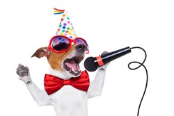 jack russell dog  as a surprise, singing birthday song like karaoke with microphone wearing  red tie and party hat  , isolated on white background