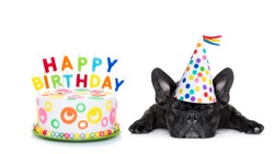 french bulldog with  happy birthday cake and candles ,a  party hat  ,eyes closed , isolated on white background