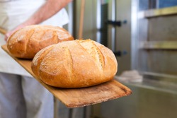 Male baker baking fresh bread in the bakehouse
