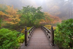 Moon Bridge One Foggy Morning in Colorful Autumn Season at Portland Japanese Garden