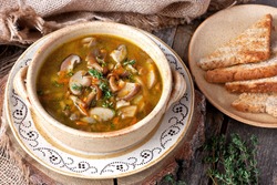 Mushroom soup in ceramic  bowl