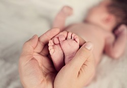 newborn baby feet in parents hands