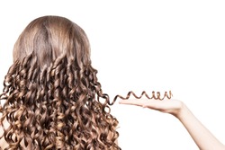 Female hand holding a strand of brown hair curled isolated on a white background.