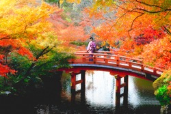 Female traveler standing at wooden bridge in the autumn park, Japan