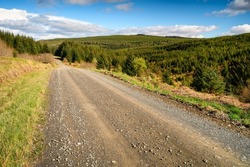 Kielder Forest Drive on a sunny day, which is 12 miles long in the Dark Skies section of the Northumberland 250, a scenic road trip though Northumberland with many places of interest along the route
