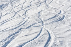 Ski and snowboard free ride tracks in powder snow