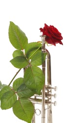 red rose and trumpet love music white background