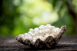 Pearl on shell and on nature background. 