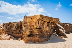 Closeup of sandy rock cliff eroded by wind and water of Atlantic Ocean. The West coast of Boa Vista island, Cape Verde.