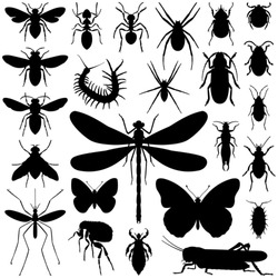 Insect collection - vector silhouette