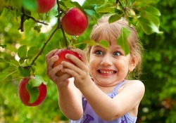 Girl removes the apple from the tree