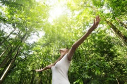 Enjoying the nature. Young woman arms raised enjoying the fresh air in green forest.