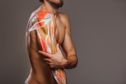 Arm nerve pain, man holding painful zone injured point, human body anatomy