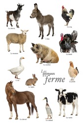 Educational poster with farm animal in French