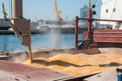 Corn in bulk carrier hold. Casting hold of corn. Elevator crane loads ship bulk carrier with corn