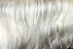 grey mane hair background texture