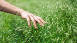 Woman's hand touching the grass, 'feeling nature'
