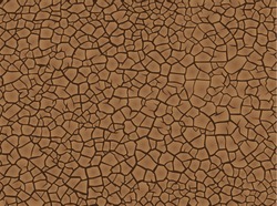 Cracked Clay Texture - Free Stock Photo by Sos on Stockvault.net