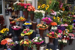 Colourful flower stand in market in Vienna, Austria full of bouquets, roses and sunflowers