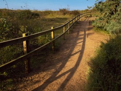 Peaceful rural scene of a wooden track in a natural area winding it's way towards the beach