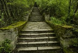 Magic stone steps going a long way up into a tunnel of freshly green dense forest.