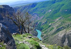 Река сулак фото