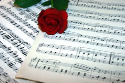 Red rose on top of music notes