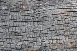 background of burnt wood texture