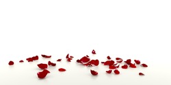 Red rose petals fall on the white mirrored floor. White background