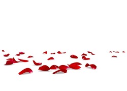 Red rose petals scattered on the floor. Isolated white background