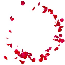Red rose petals scattered on the floor in a semi-circle. There is a place for Your text or photo